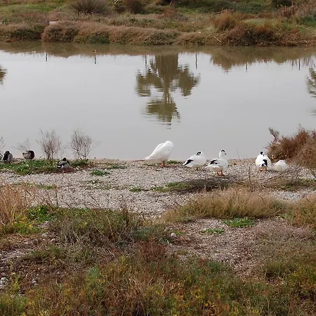 Sitges Apartment 3* סיטגס