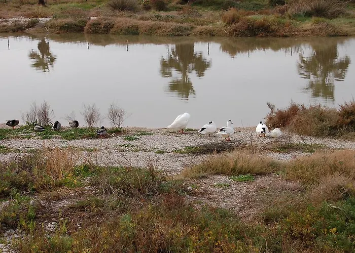 Sitges Apartment 3* סיטגס